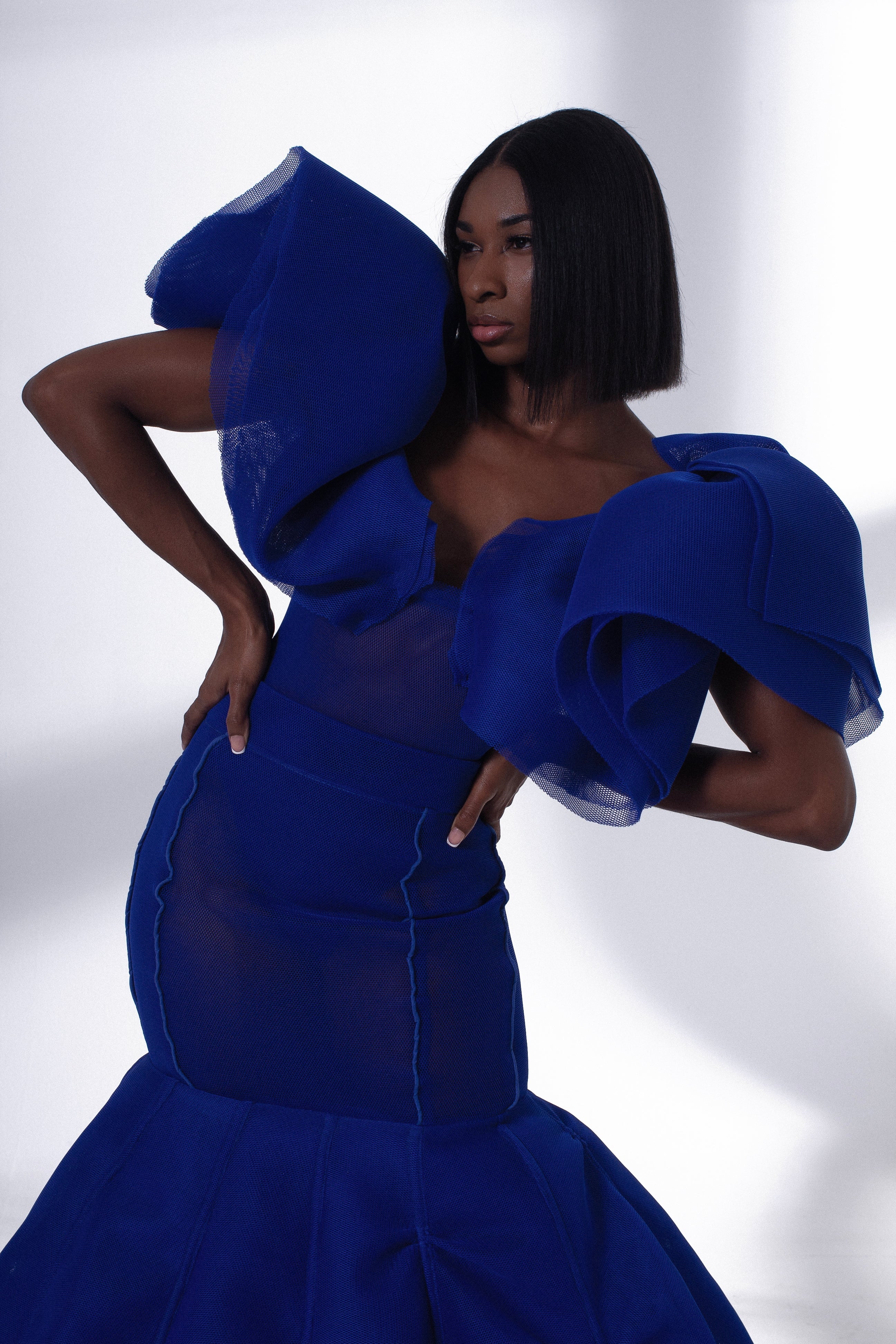 Puff Shoulder Dress