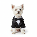 Dog Tuxedo